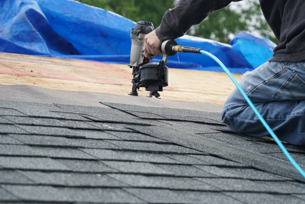 Best Shingle Roofing Installation  in Leonville, LA